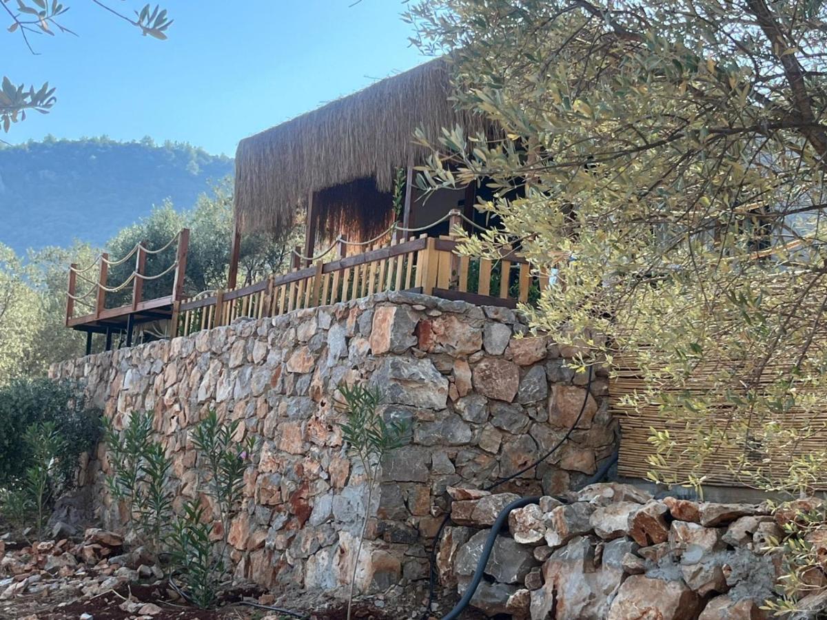 Lovin Goecek Tiny House Butterfly Villa Gokceovacik Bagian luar foto